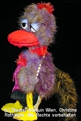 Der Vogel Krissy